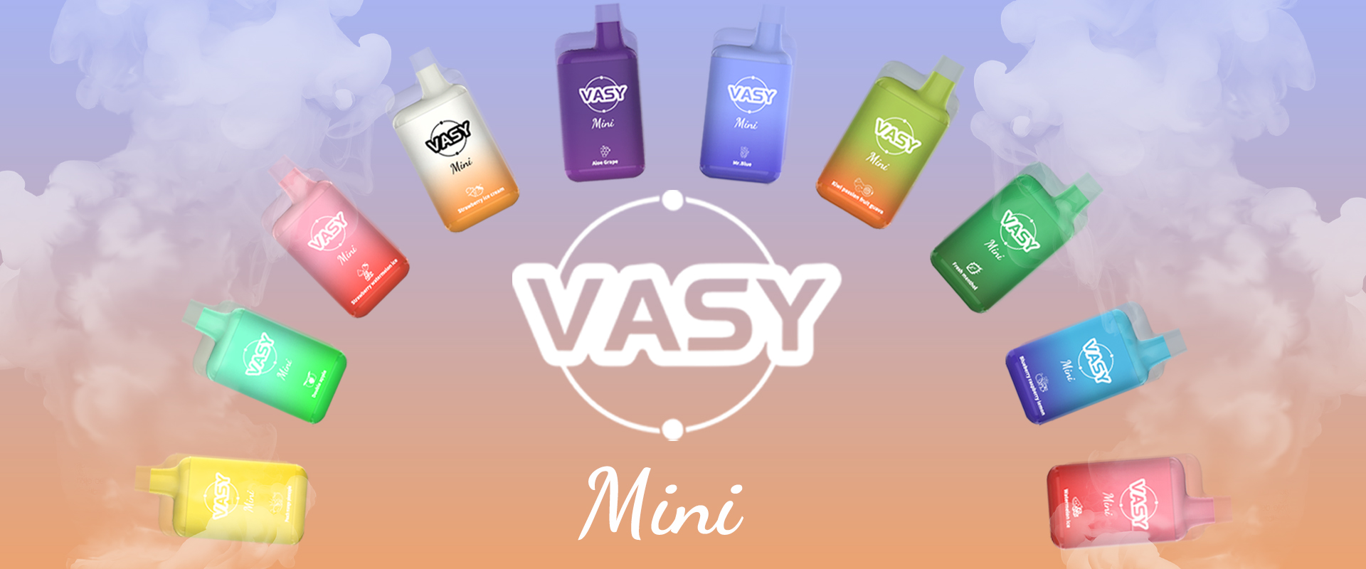 VASY mini